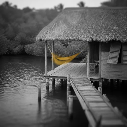 The architecture of understatement: how Belize's smallest lodges create silence, not spectacle